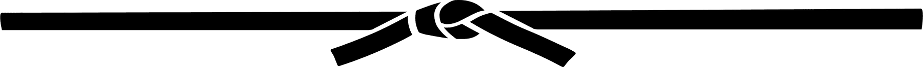 Twin-Taekwondo black belt banner